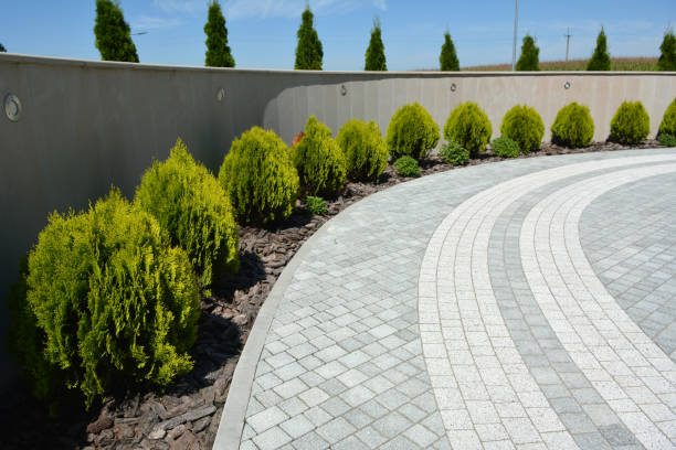 Best Driveway Repair Near Me  in Inez, TX